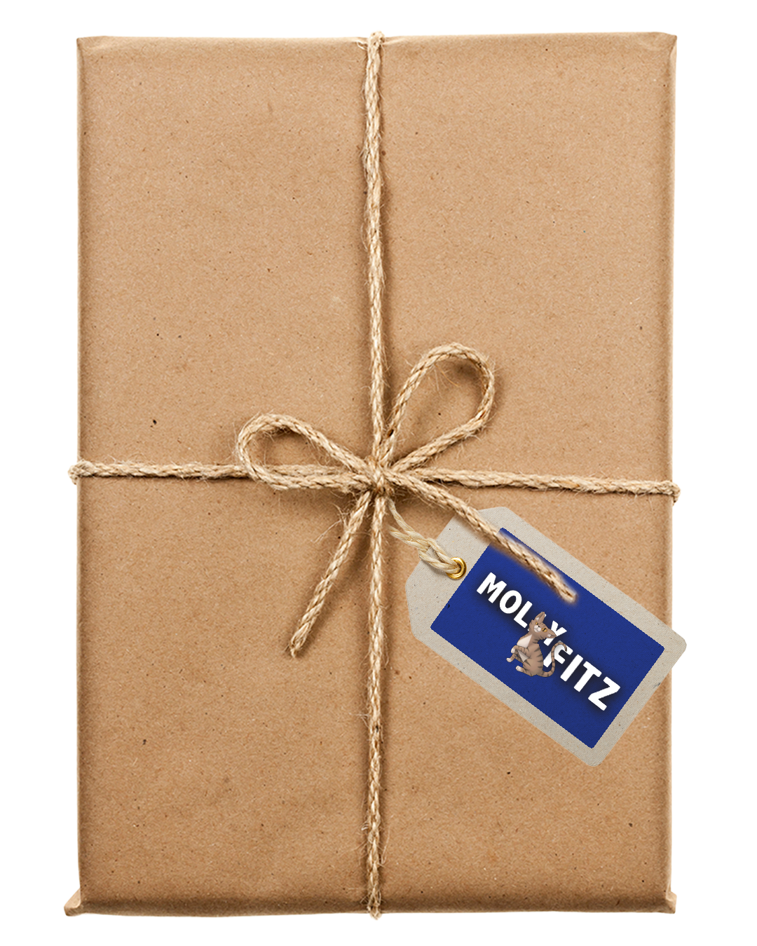 Surprise Signed Book by Molly Fitz